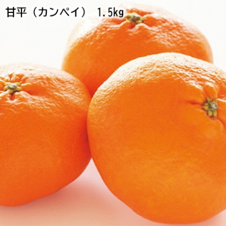 甘平（カンペイ） 1.5ｋｇ