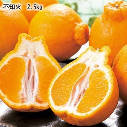 不知火 2.5ｋｇ