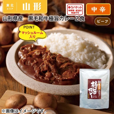 山形県産 黒毛和牛極旨カレー２食 １８０ｇ×２