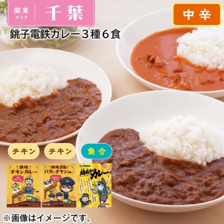 銚子電鉄カレー３種６食 銚電チキンカレー・銚電３１５バターチキンカレー 各２００ｇ×２、銚電鯖威張るカレー１６０ｇ×２