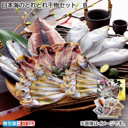 お中元のし付き 日本海のとれとれ干物セット Ｂ 1kg