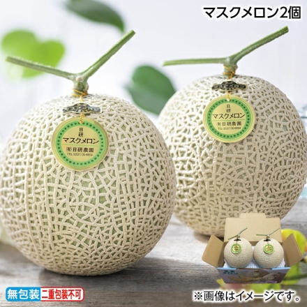 お中元熨斗付き マスクメロン2個 御中元 夏ギフト ギフト 贈答