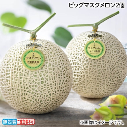 お中元熨斗付き ビッグマスクメロン2個 御中元 夏ギフト ギフト 贈答