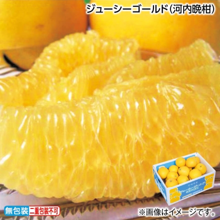 お中元熨斗付き ジューシーゴールド（河内晩柑） 4kg（M～2L） ※サイズは商品提供者にお任せください 御中元 夏ギフト ギフト 贈答