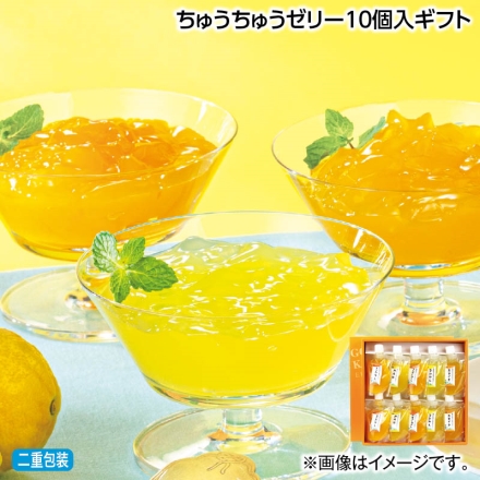 お中元熨斗付き ちゅうちゅうゼリー10個入ギフト 御中元 夏ギフト ギフト 贈答