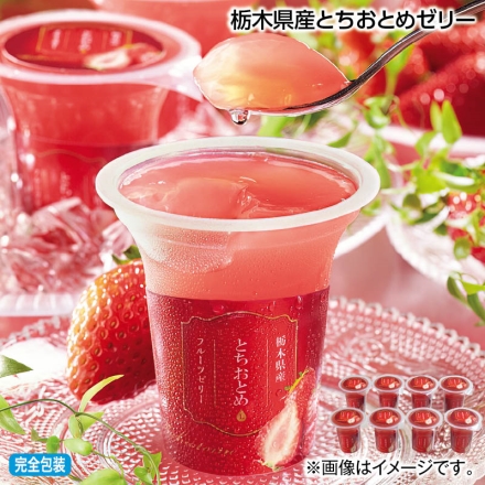 お中元熨斗付き 栃木県産とちおとめゼリー 125g×8 御中元 夏ギフト ギフト 贈答