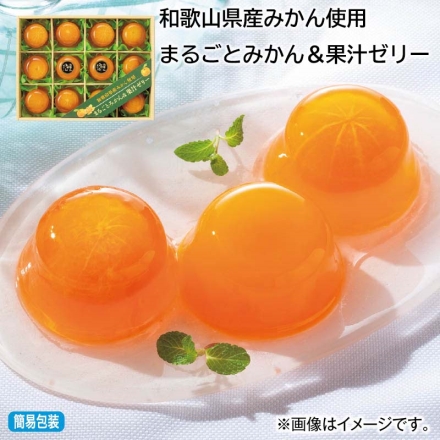 お中元のし付き 和歌山県産みかん使用 まるごとみかん＆果汁ゼリー 12個