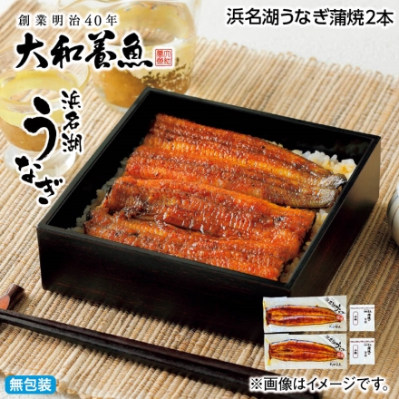 お中元熨斗付き 浜名湖うなぎ蒲焼2本 御中元 夏ギフト ギフト 贈答