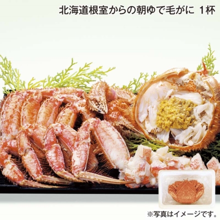 北海道根室からの朝ゆで毛がに 1杯 送料込み