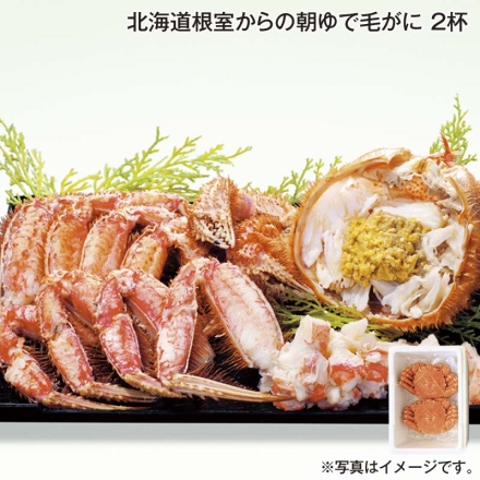北海道根室からの朝ゆで毛がに 2杯 送料込み