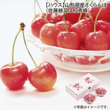 ハウス 山形県産さくらんぼ（佐藤錦又は紅秀峰） 100g×2 佐藤錦は(M、特秀) 紅秀峰は(L、秀) 送料込み