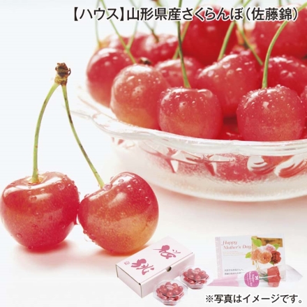 ハウス 山形県産さくらんぼ（佐藤錦） 100g×2(M、特秀)、カーネーション（造花）・カード付 送料込み