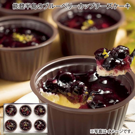 能登半島のブルーベリーカップチーズケーキ 6個 送料込み