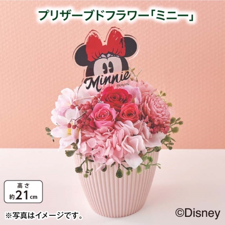 プリザーブドフラワー「 ミニー 」 サイズ（約）＝幅13×奥行14×高さ21cm 素材＝花材／プリザーブド：バラ（ピンク系3輪）、アジサイ、ペッパーベリー 造花（ソーラーローズ、サクラ、アジサイ、グリーン）：ポリエステル 花器／合成樹脂 母の日 送料込み