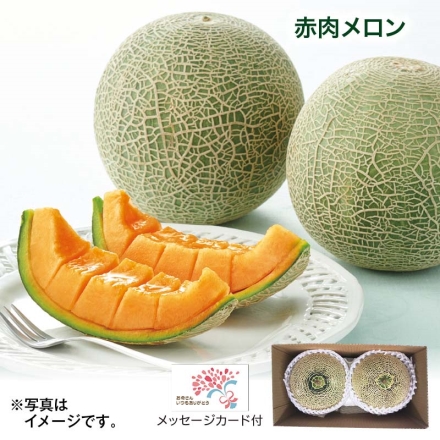 赤肉メロン 1.8kg（2個） 母の日 送料込み