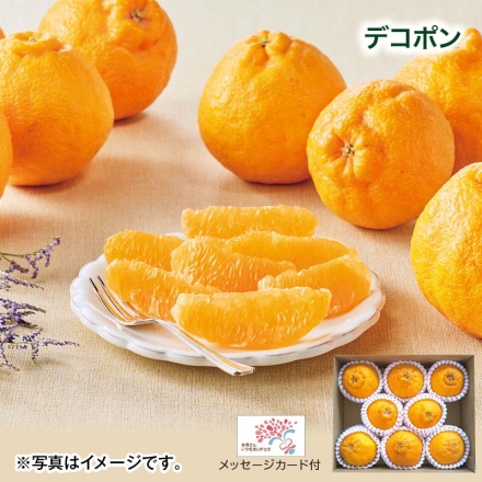 デコポン 2kg （7～10個） 母の日 送料込み