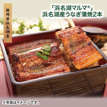 「 浜名湖マルマ（Ｒ） 」浜名湖産うなぎ蒲焼2本 父の日 送料込み