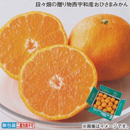 お歳暮のし付き 段々畑の贈り物西宇和産おひさまみかん 3kg（S～L：20～50個）