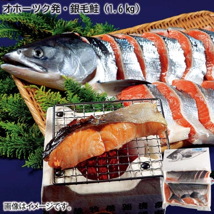 お歳暮のし付き オホーツク発・銀毛鮭（1.6kg）