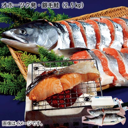 お歳暮のし付き オホーツク発・銀毛鮭（2.5kg）