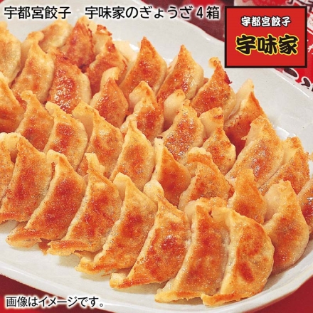 お歳暮のし付き 宇都宮餃子 宇味家のぎょうざ 4箱