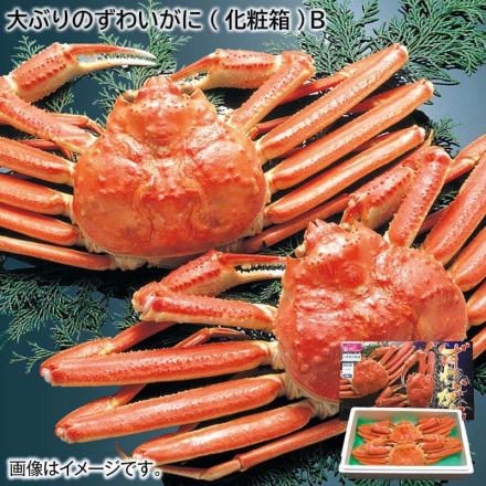 お歳暮のし付き 大ぶりのずわいがに（化粧箱）Ｂ 1.5kg（2杯）