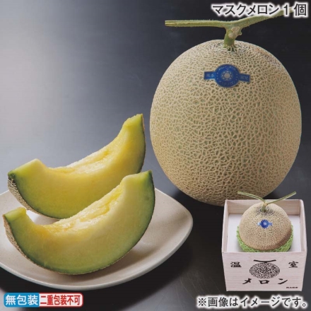 お歳暮のし付き マスクメロン1個