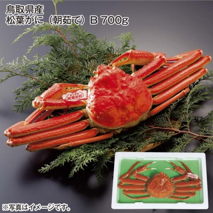 鳥取県産 松葉がに（朝茹で）Ｂ 700ｇ