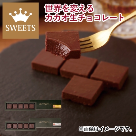 世界を変えるカカオ 生チョコレート 2種×5個