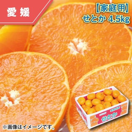 家庭用 せとか4.5ｋｇ