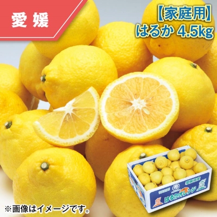家庭用 はるか4.5ｋｇ