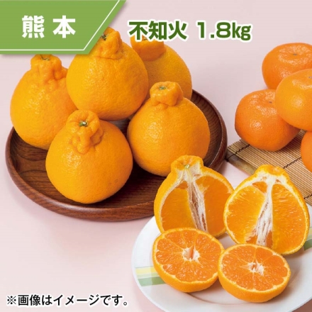 不知火 1.8ｋｇ ミカン みかん