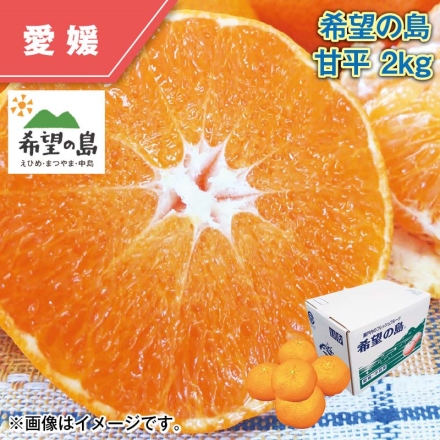 希望の島 甘平 2ｋｇ