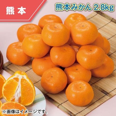 熊本みかん2.8ｋｇ