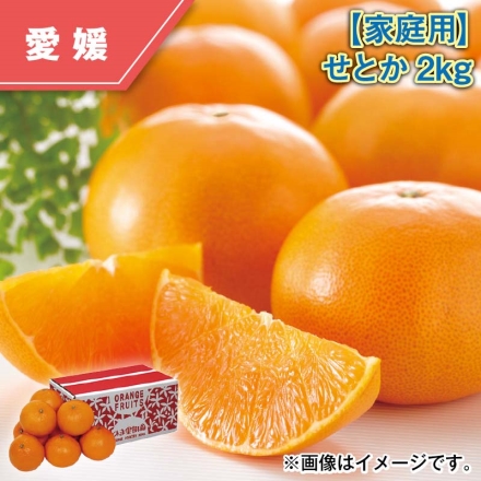 家庭用 せとか2ｋｇ
