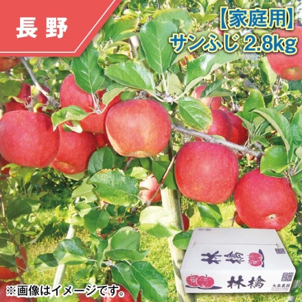 家庭用 サンふじ2.8ｋｇ