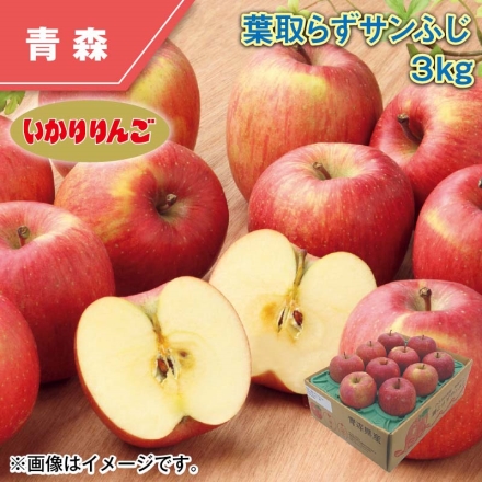 葉とらずサンふじ 3ｋｇ