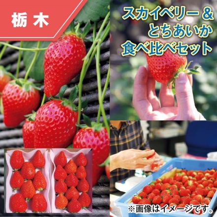 スカイベリー＆とちあいか 食べ比べセット スカイベリー・とちあいか 各280g