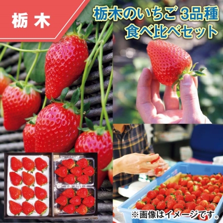 栃木のいちご3品種 食べ比べセット