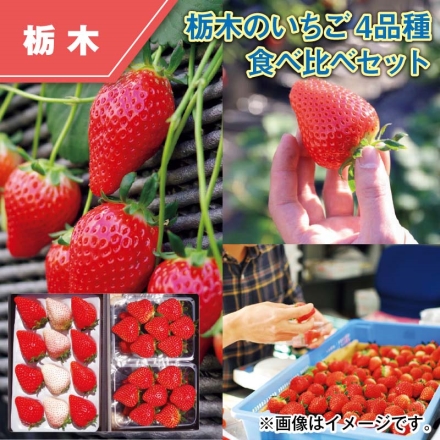 栃木のいちご4品種 食べ比べセット