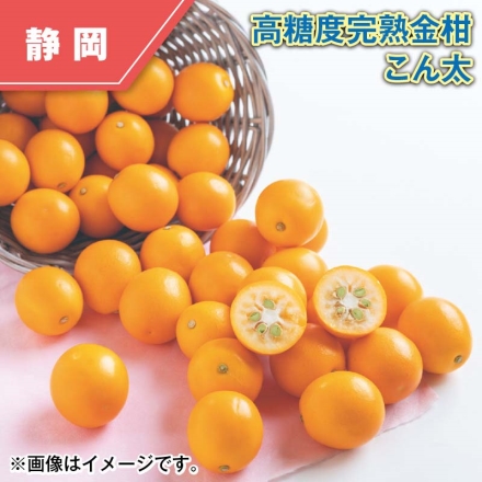 高糖度完熟金柑 こん太 700g