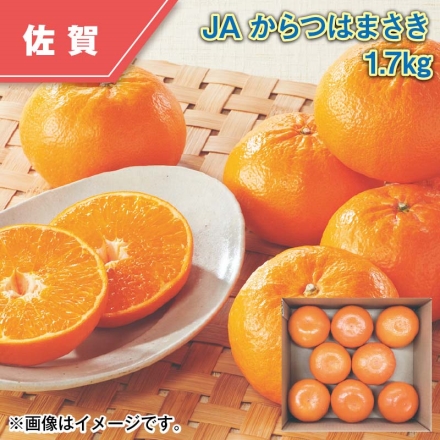 ＪＡからつ はまさき 1.7ｋｇ