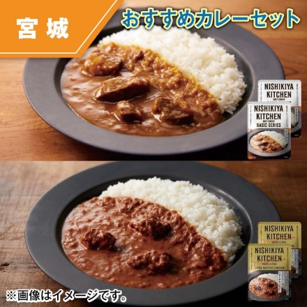 おすすめカレーセット ビーフカレー・スパイシーバターチキンカレー 各180g×2