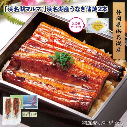 父の日 2025年6月12日から6月15日の間にお届け 「 浜名湖マルマ（Ｒ） 」浜名湖産うなぎ蒲焼2本 ギフト プレゼント