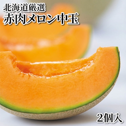 北海道厳選赤肉メロン中玉 2個入