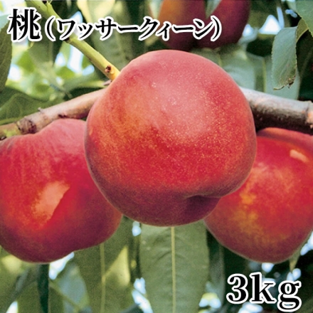 桃（ワッサークィーン） 3ｋｇ