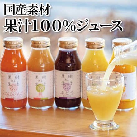 国産素材果汁100％ジュース にんじんりんご・桃・ぶどう・りんご・みかん 各180ml×2