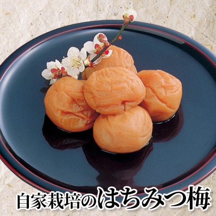 自家栽培のはちみつ梅 500g(約塩分4％)