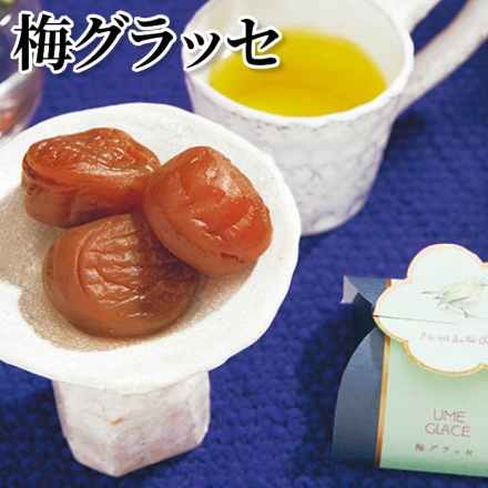 梅グラッセ 25g×9