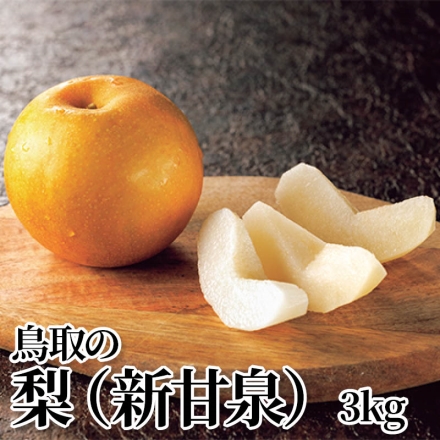 鳥取の梨（新甘泉） 3ｋｇ